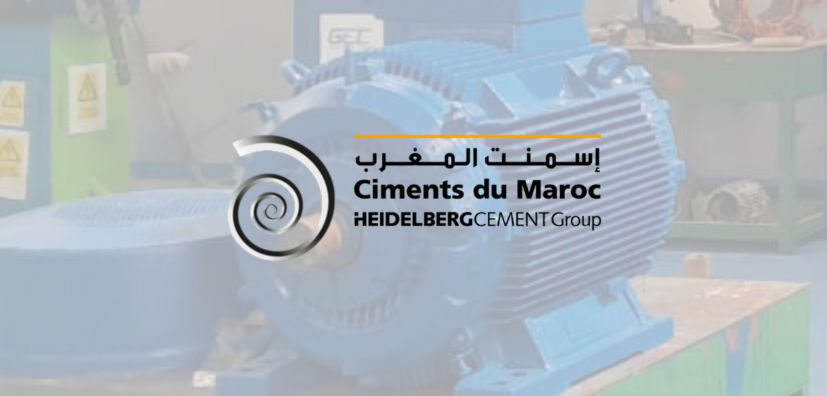 Maintenance and repair of low-voltage electric motors