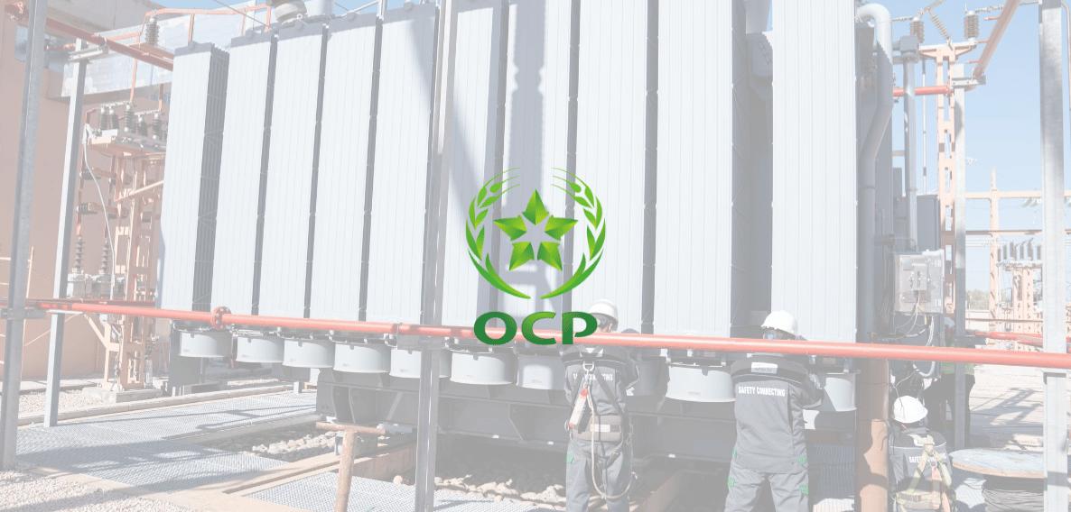 Technical Expertise of a 225kV/30kV - 40MVA Power Transformer